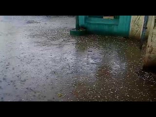 अमरावती जिल्ह्याला मुसळधार पावसासह गारपिटीचा तडाखा