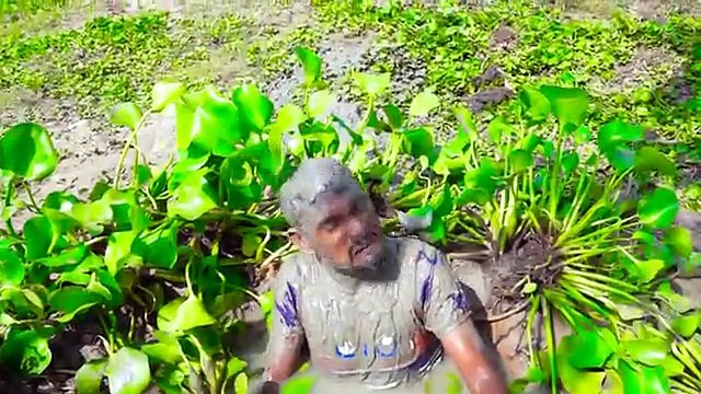 पागलों की टोली | हँसते हँसते पागल हो जाओगे | Must Watch New Funny Video 2021 Top New Comedy Video 2021 Try To Not Laugh Episode 2 by Manoranjan Company