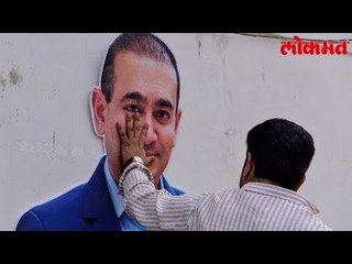 Finding Nimo ! या सारखे आणि बरेच जोक होत आहेत Social Media वर viral । पहा हा Video