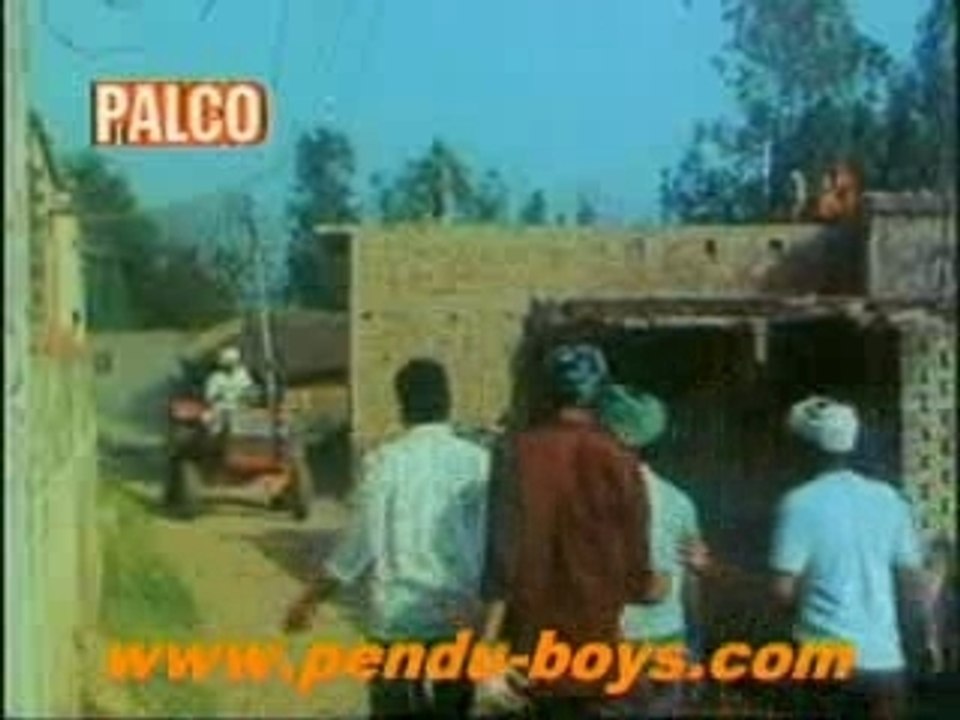 Nasibo_p1