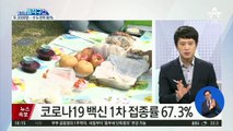 [핫플]신규 확진 2000명대…서울 신규 확진 최다