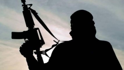 Delhi Police busts Pak-backed terror module