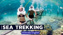 Hiking Underwater Video | Exploring The Ocean With Sea Trekking | Oneindia News