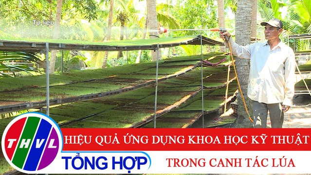 Nông thôn ngày nay: Hiệu quả ứng dụng khoa học kỹ thuật trong canh tác lúa