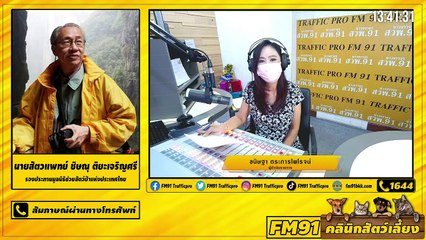 โรคทางเดินปัสสาวะในสุนัขและแมว EP.1 : FM91 คลินิกสัตว์เลี้ยง : 26 มิถุนายน 2564