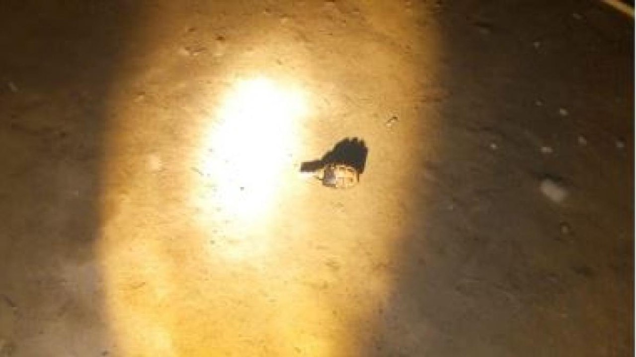 Two grenade attacks on security forces, none in...