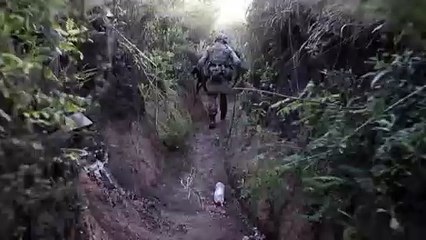 Újabb áldozat a kelet-ukrajnai harcokban