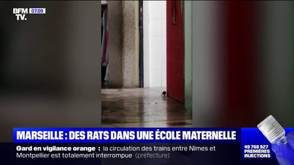 Des rats ont envahi l'école maternelle Saint Barthélémy SNCF, à Marseille