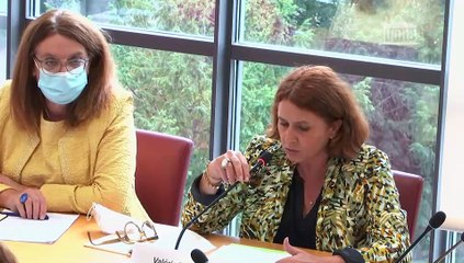 Commission des affaires étrangères : M. Jean-Yves Le Drian, ministre de l’Europe et des affaires étrangères - Mardi 14 septembre 2021