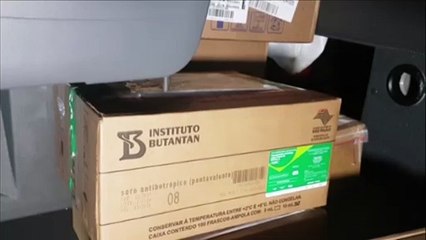 Nova remessa de doses da vacina contra a Covid-19 chega a Cascavel