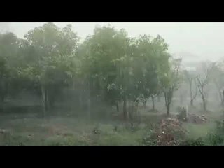 गडचिरोली जिल्ह्यात वादळी पावसाचा तडाखा