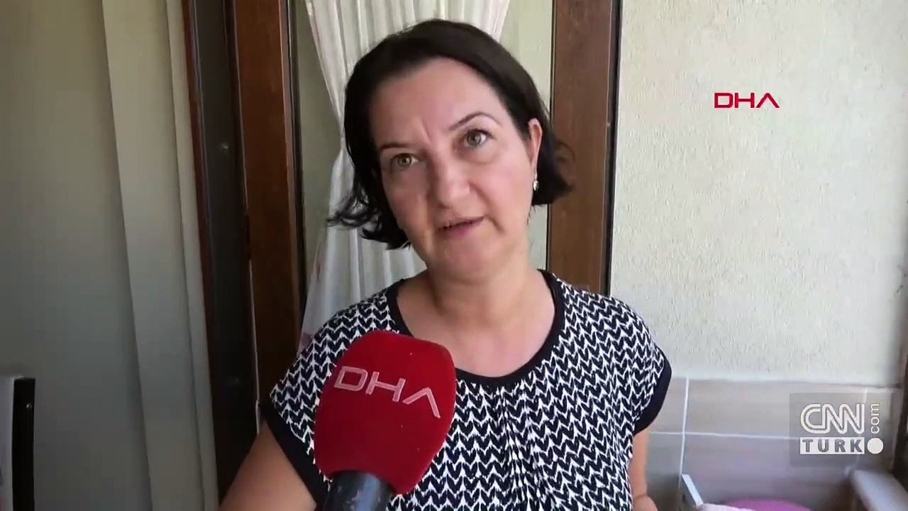 'Dantel böcek' istilası