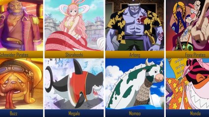 One Piece Characters and Their Pets