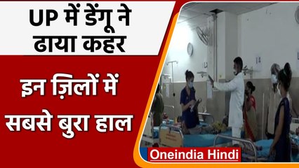 UP में नहीं थम रहा Dengue का प्रकोप, Agra से लेकर Ghaziabad तक बढ़ रहे केस | वनइंडिया हिंदी
