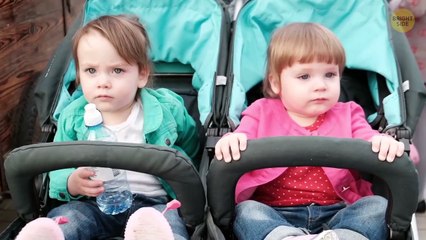 65 Quick Facts to Make You the Most Interesting Person in The Room  #factoology