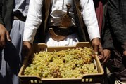 Yemen'in kendine has üzüm türleri iç savaş nedeniyle tehlike altında