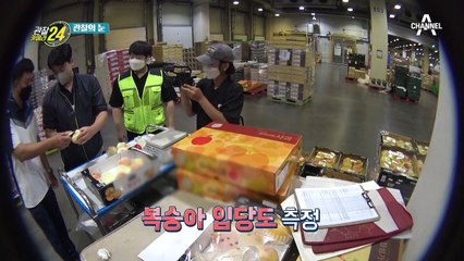 당도와 신선도는 내가 책임진다! 농식품 물류센터 매의 눈으로 체크하는 검품 직원들