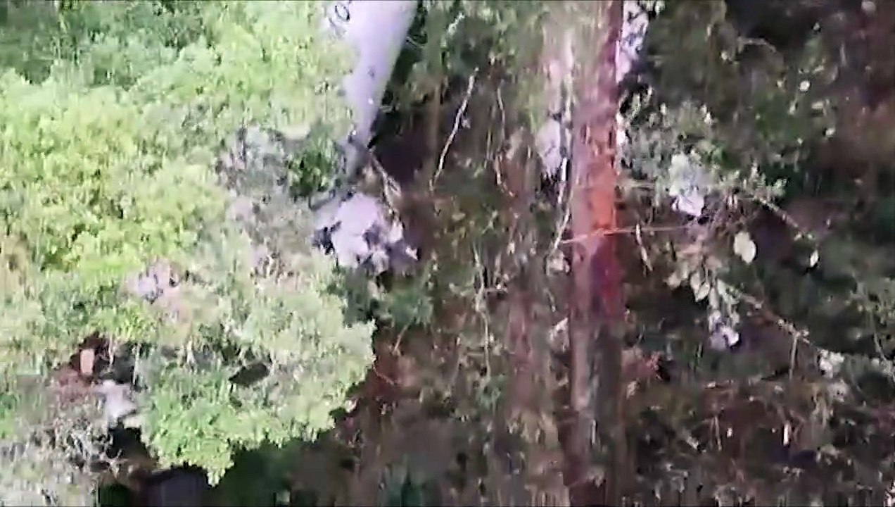 تحطم طائرة شحن صغيرة على متنها ثلاثة أشخاص بمقاطعة بابوا أقصى شرق إندونيسيا