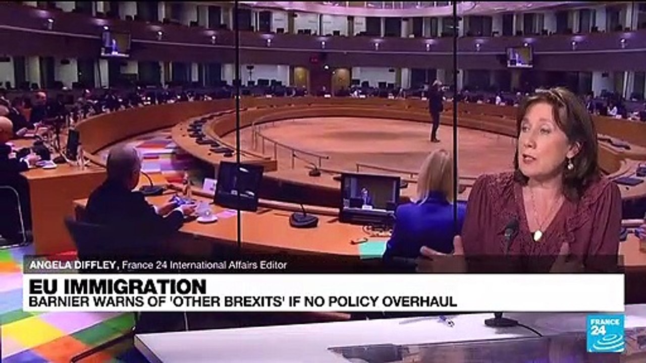 Barnier warns of 'other Brexits' if no EU immigration overhaul