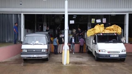 TMO'nun fındık alımları devam ediyor