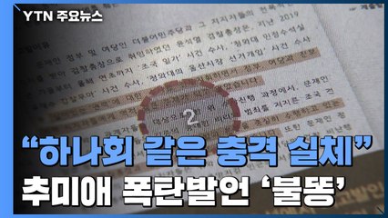여당, "윤석열 직접 개입" 공세...추미애 '폭탄 발언'에 불똥 / YTN
