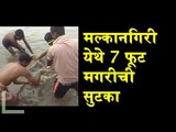 Rescue Operation of crocodile in Odisha, India | Indian Wild Life