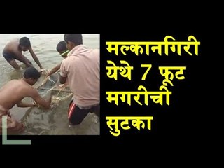 Rescue Operation of crocodile in Odisha, India | Indian Wild Life