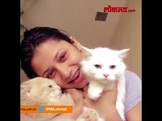 Marathi actress, Jui Gadkari with her cute cats | International Cat Day
