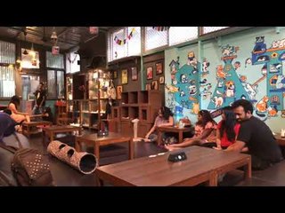 Cat Cafe Studio in Mumbai - Food Stories at Being Bhukkad | International Cat Day Special