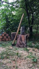 Split Log Clobbers Camera