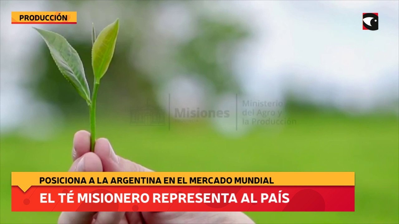 El Té Misionero representa al país