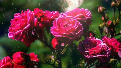 Romantic Music, Love Music, Refresh Mind Music, Tens Free