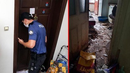 Koku şikayeti ile girilen 64 yaşındaki kadının evinde 50 kedi bulundu