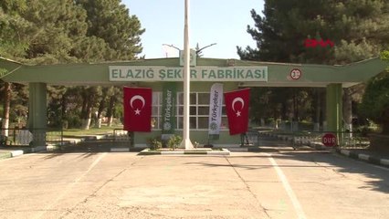 ELAZIĞ ŞEKER FABRİKASINDA PANCAR ALIM KAMPANYASI BAŞLADI