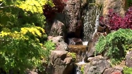 3 Minute Meditation Music Relaxing Music Sleep Music Soothing Music...