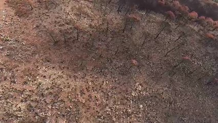 Los bomberos siguen trabajando para refrescar la zona y extinguir el incendio de Sierra Bermeja