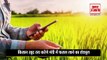 Haryana Government का बड़ा फैसला, इस बार Farmer  खुद तय करेंगे Market में Crops  लाने का Schedule