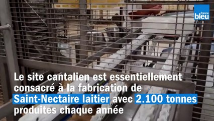 Lactalis investit à Condat dans le Cantal et modernise sa fromagerie dédiée au Saint-Nectaire