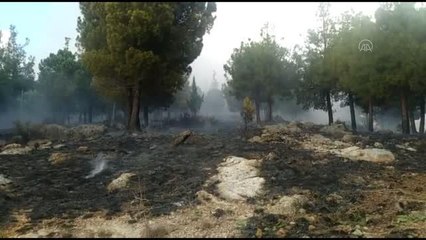 Son dakika haberi! Orman yangını kontrol altına alındı