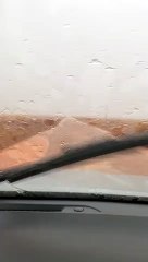 CHUVA DE MANGA NO GOIÁS