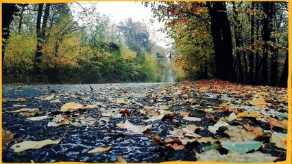 MUSICAS E SONS DA NATUREZA PARA MEDITARÇÃO E RELAXAMENTO