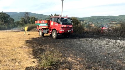 Son dakika haberleri! Yenice'de anız yangını