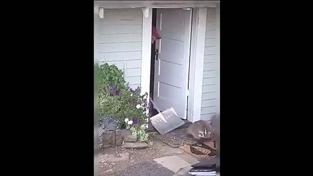 Ce blaireaux n'a pas payé le loyer