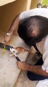 Il sauve un chaton coincé dans un tuyau
