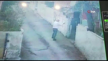 Beykoz'da köpek besleme tartışması