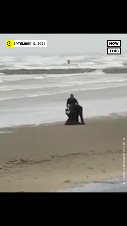 TX Man Arrested After Wearing Michael Myers ‘Halloween’ Mask