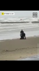 TX Man Arrested After Wearing Michael Myers ‘Halloween’ Mask