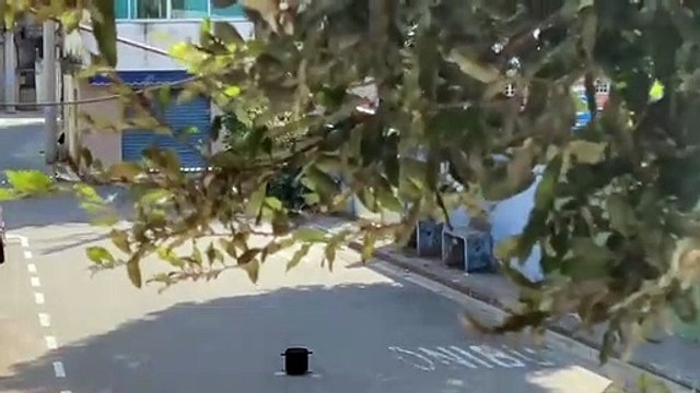Esquadrão antibombas detonada granada caseira deixada perto de escola