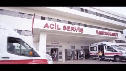 Karadeniz'de mantardan zehirlenme vakaları arttı