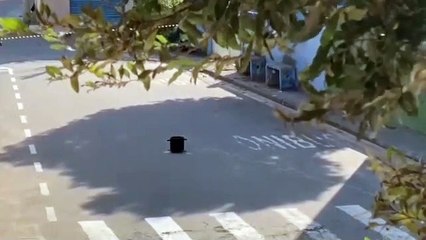 Esquadrão Antinomba detona granada deixada perto de escola em Vitória